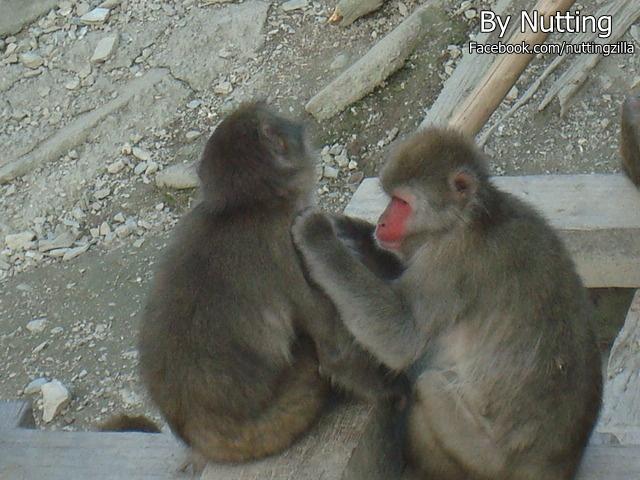 DSC04003.JPG